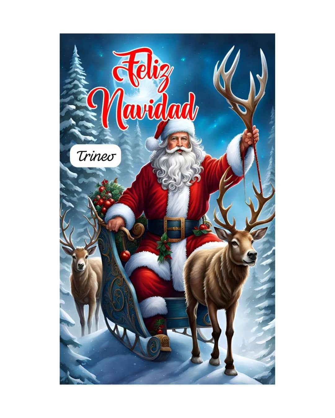 Fundas Navideñas Para Puertas